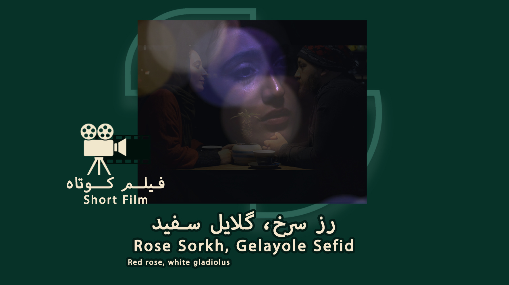 رز سرخ گلایل سفید