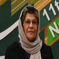 از کشف استعداد تا فراموشی؛ چرا برگزیدگان جشنواره موسیقی جوان حمایت نمی‌شوند؟