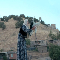 یک مستند ایرانی برنده جشنواره فیلم بوسان شد